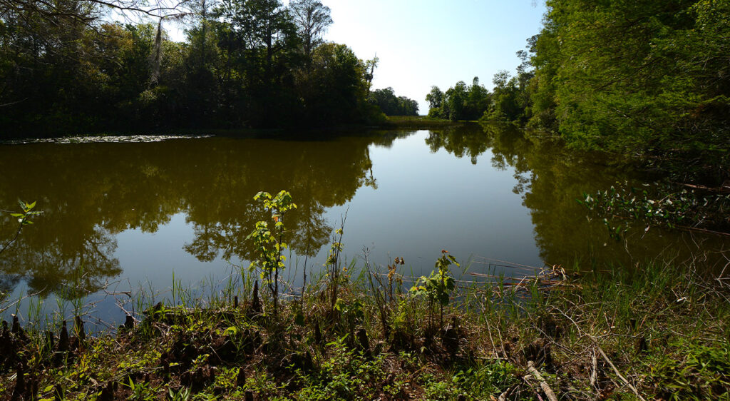 River at Sherwood L. Stokes Preserve