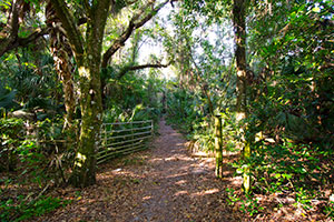 reserva del río alafia