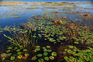 crooked lake