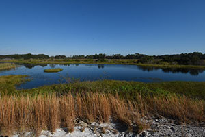 marshall hampton reserve