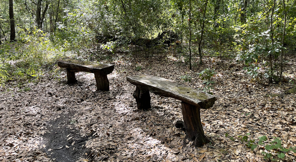gator creek reserve trail
