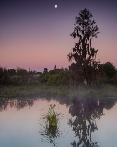 sunrise at Circle B Bar Reserve in Polk County, Florida